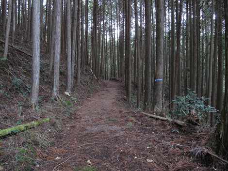 20140105hike (118)